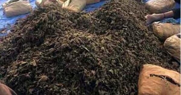 5Db16249C76Dcd7Cb79B2B341Eef5E29