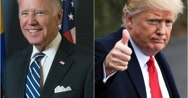 Ba4917C201A1De6609913C8Cb397D7De 1