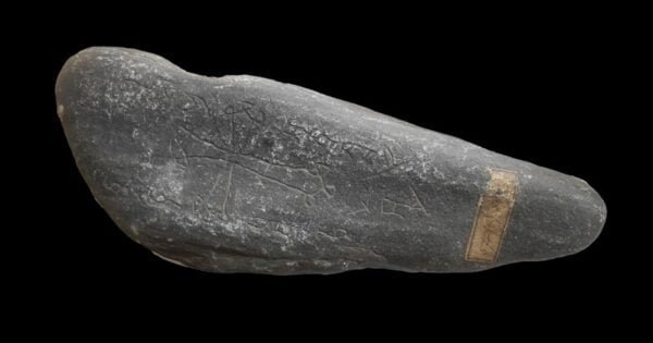 205B4Bac8681F6Ac3744696A60E1Bd29