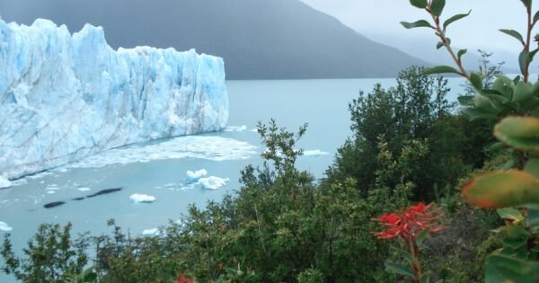 2869Af8D6Fd244B861204595Ebf3Cdc3