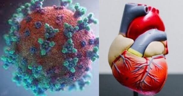 43E9C5496D10E37A7851Ba4Bc6Ce7Efe