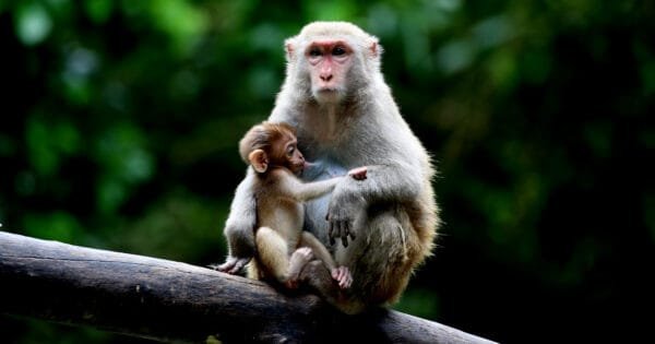 529A4E0Ac485Fb1885F00Ab495B912F8