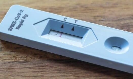 5536Ee6C0C1C5024Db06Aca95040Fcca