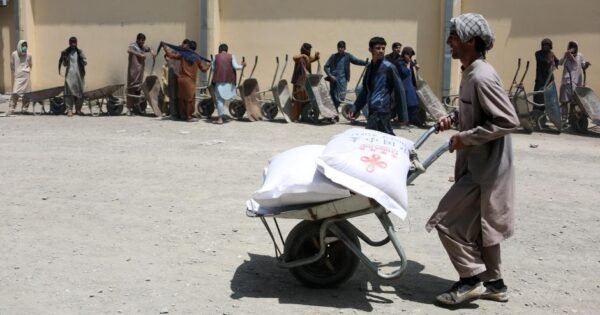 55800269491Dc31A26E64D2C9Ebb0738