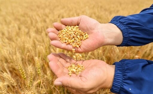 80186B976E5B16265A8Fe1A49Ebb6Bea