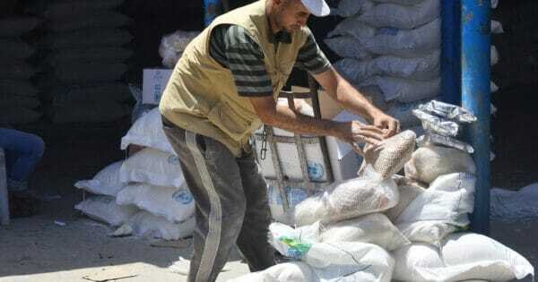 8C4D6Ed8D9991A3681795217B8Ac5635