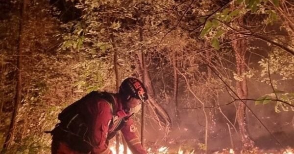 8D5594C19312024F04Fd0Dfcabb8Fbb9