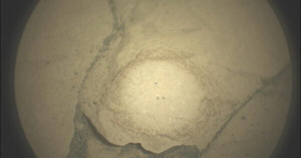 Aa0469A700390Bc9Ef92527532F51496