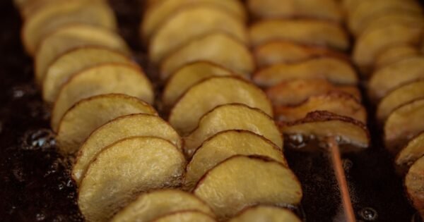 B623411308E20188689C025030E7E77D