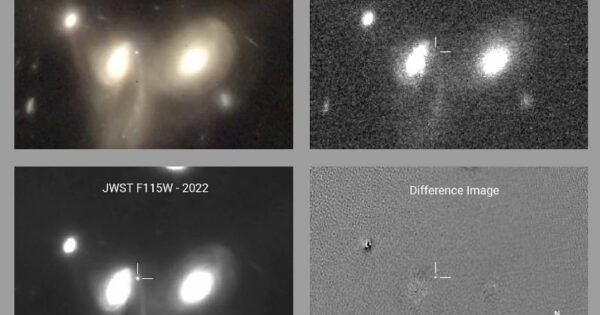 C8E86Ddd7125449F337769B4131F0316