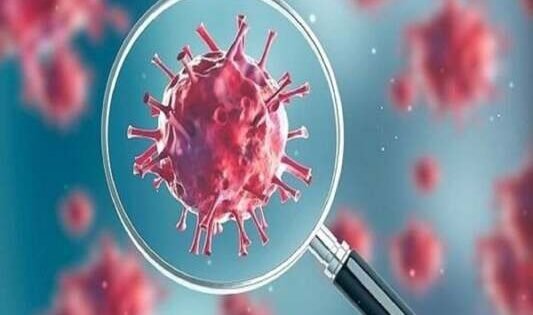 F2101D2F7775F1889B6Ca8E89A01E117 1