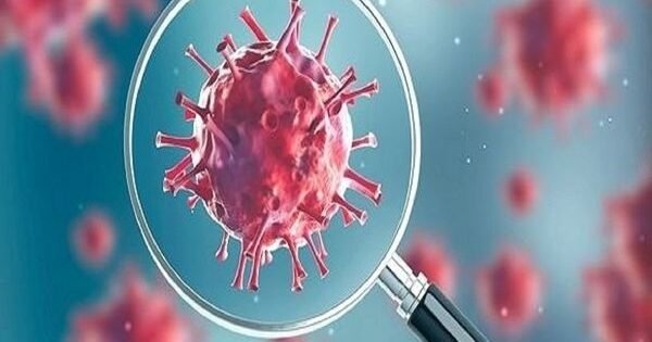 F2101D2F7775F1889B6Ca8E89A01E117 2