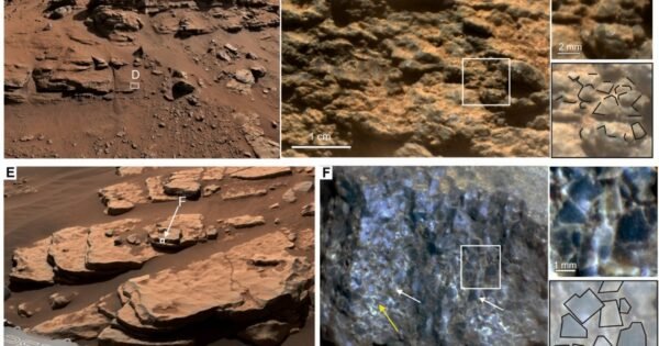 F64A0F0E056D4Fc2D24B9Eac1F50761D