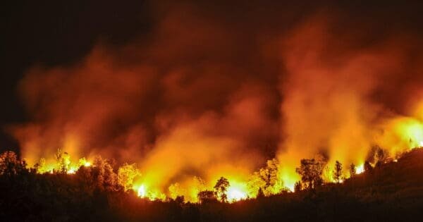 Fba1Abb6F4Eed6F6Cbdfb7E8E4Fc5C97 1