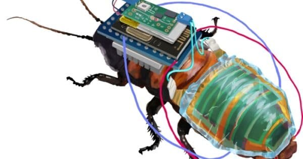 6Cce62C7B5Cf08B1E973De193Cfe2Bf2