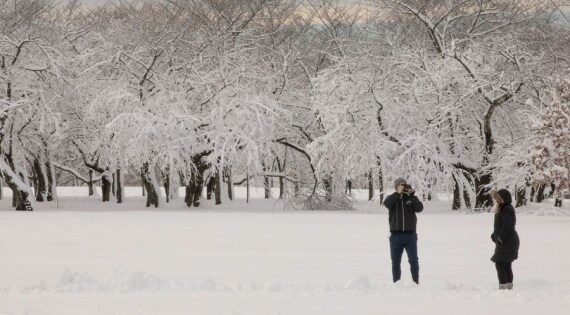 F518C8F37C20B82Cb1D305A1D108E644