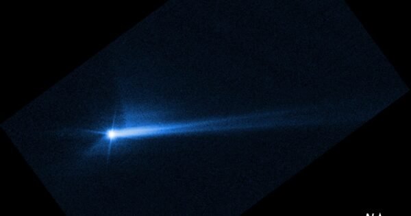 25A2Ed42192Bec31331F8E15253D5045