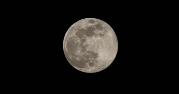 4Ee0D9A588D93F7636Bc70Ba1B0F1Af5 1