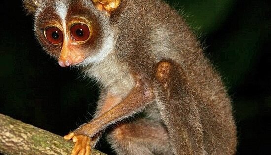 53582F52682B3F8Bcc0Ca4Dea40B7C5B1