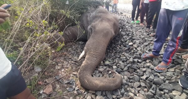 62Ed08Dccd0296A12Cf8029C9A115277