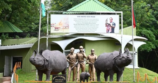 8343Ebd523Efaeaa6C1Ed8037D55Fef7