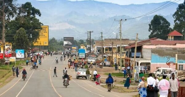 D2F1E1Eb060Fab952Ef182A0E8Ac733C