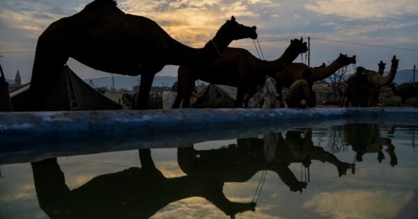 Dfd6B136Ab7C71B194B6F65F4B93588B 1