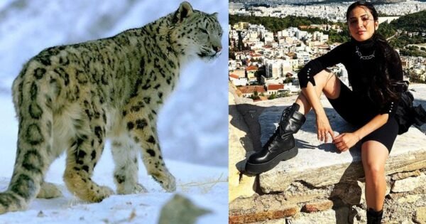 E427Cd18D78939Eff17B50D227723Bb81