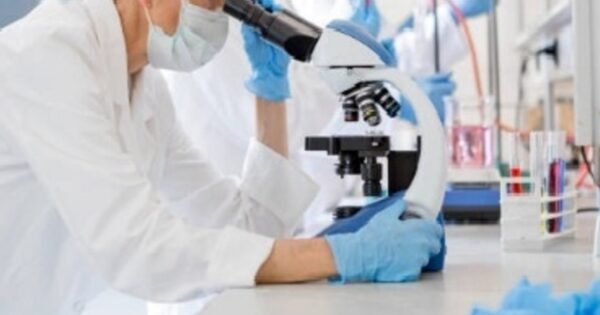 003Db2C5Bb815Da278858Eb58C4D2Fa511