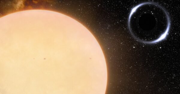 017137971C0Cfe662D1Bb690D511F67D