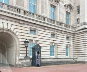 Whatsapp Image 2022 11 04 At 1.56.15 Pm