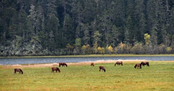 E7C4B4E5E70715174B14A7760Db4531E