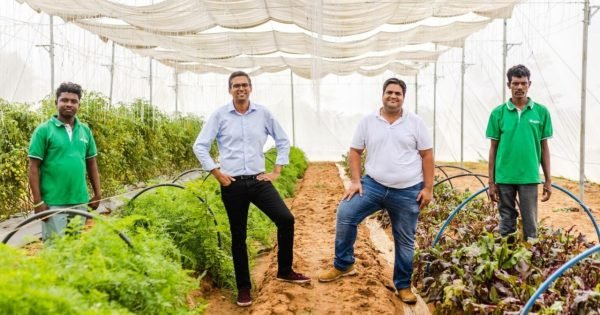 2E07F4D9427E537Ecea1Faab658Bda51