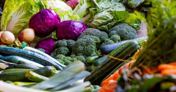 5255501691F80913E01C9B5F3B12F1Ce