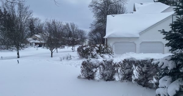 978332D3A80B4151A74A8707E6A3B69C