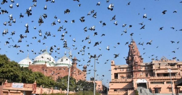 E67Eb190Ea89Ca6818187Ca8D3454551