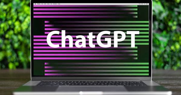 11Fccca3Dbdea070D22Efca35Ee01E62