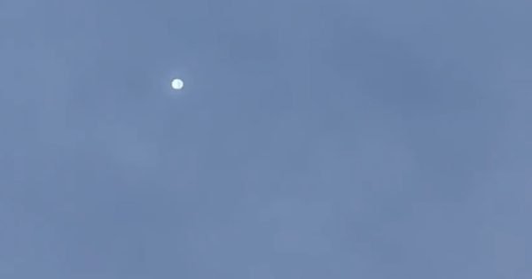 3093Cc6350Ea70D83228Ee2C8A99A786