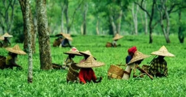 5Ad22Ae1726A405E2E5Db779849Da05E