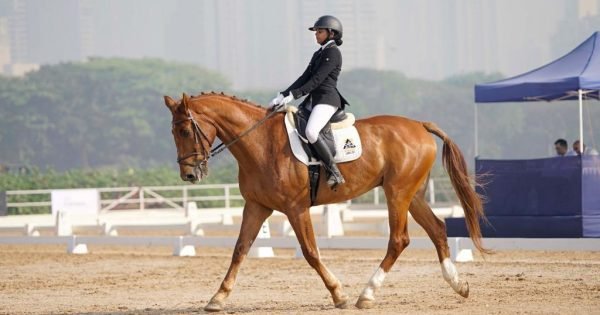 8B0451Ac69638Cbb370177B5D6C3F981 1