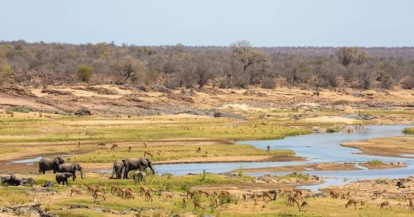 98F0C8Cc3Bd1E8Eca76E9D9E4A47672B