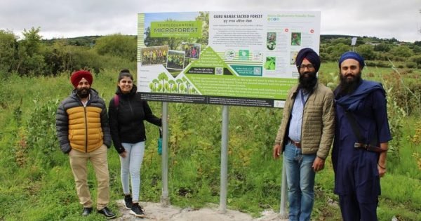 C9Cfe536D4E20A5F4Bb7Da867C55Cf04