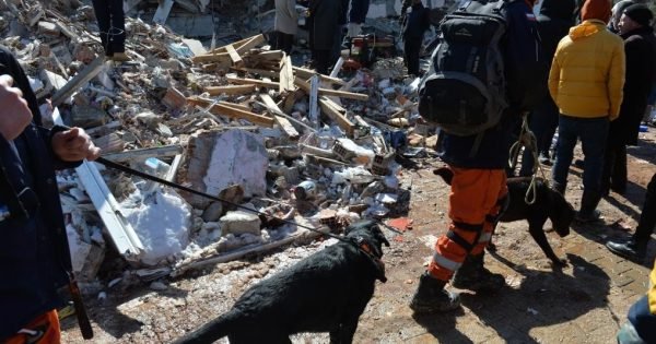 E728Ef17951A53F4F617F9Cb0Eaed3C8