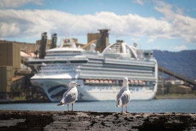 Over 300 People On Texas-Mexico Cruise Ship Fall Ill: Cdc