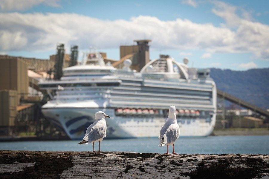 Over 300 People On Texas-Mexico Cruise Ship Fall Ill: Cdc
