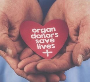 7034D017Eee271F225Cc62Af55B2E623