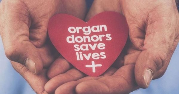 7034D017Eee271F225Cc62Af55B2E623