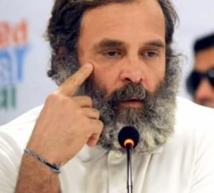 Bjp Getting Rattled By Series Of Lectures: Tharoor &Amp; Gogoi Defend Rahul