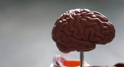 Mind-Blowing: Mediterranean Diets May Help Prevent Alzheimer'S Disease