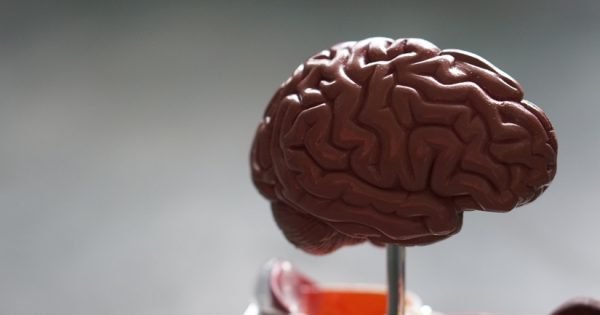 Mind-Blowing: Mediterranean Diets May Help Prevent Alzheimer'S Disease